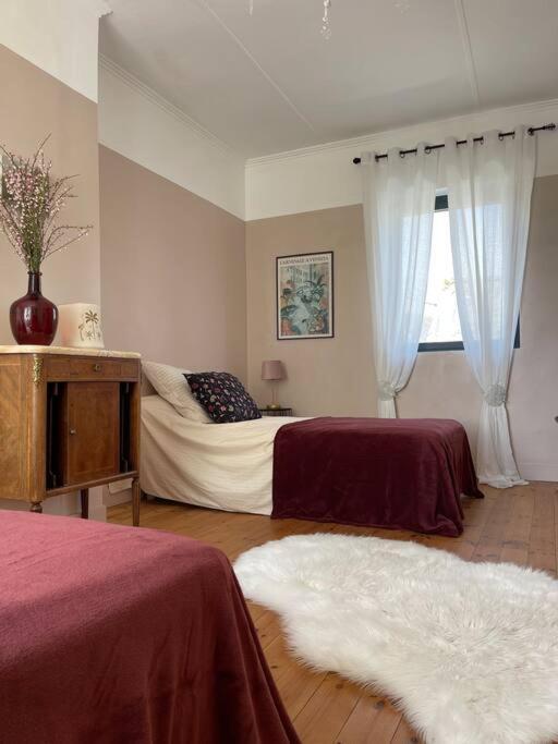 Havre De Paix A Carteret ! Villa Barneville-Carteret Eksteriør bilde